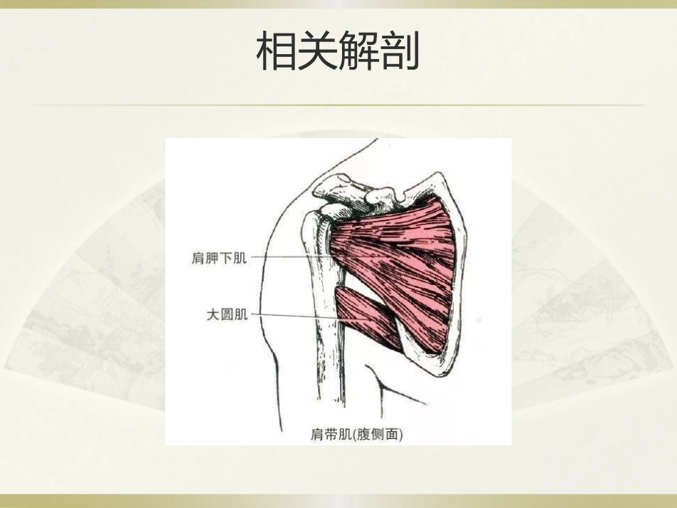 肩周炎的中医治疗(1)_第13页