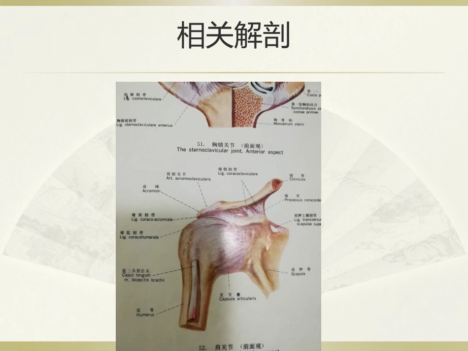 肩周炎的中医治疗(1)_第3页