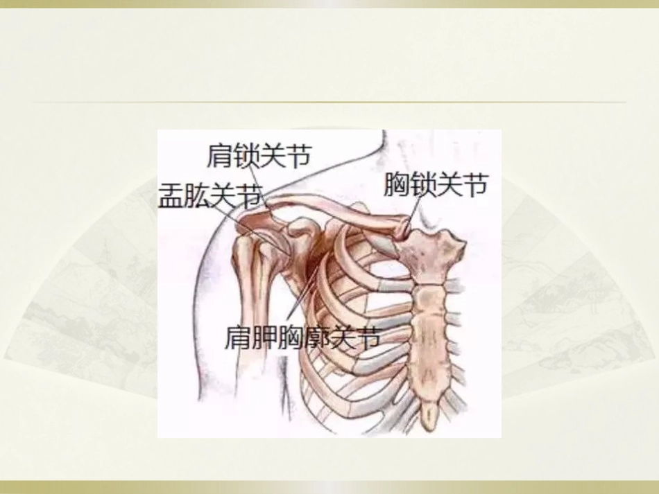 肩周炎的中医治疗(1)_第5页
