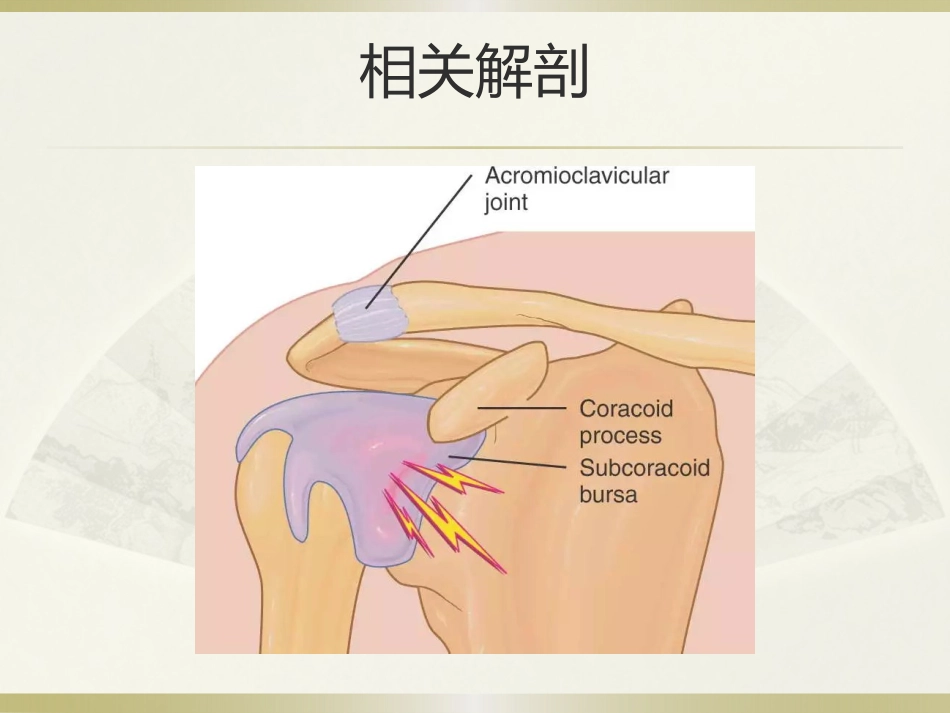 肩周炎的中医治疗(1)_第6页