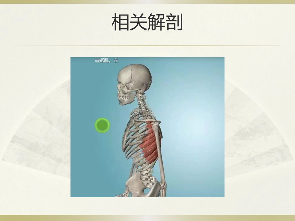 肩周炎的中医治疗(1)_第8页