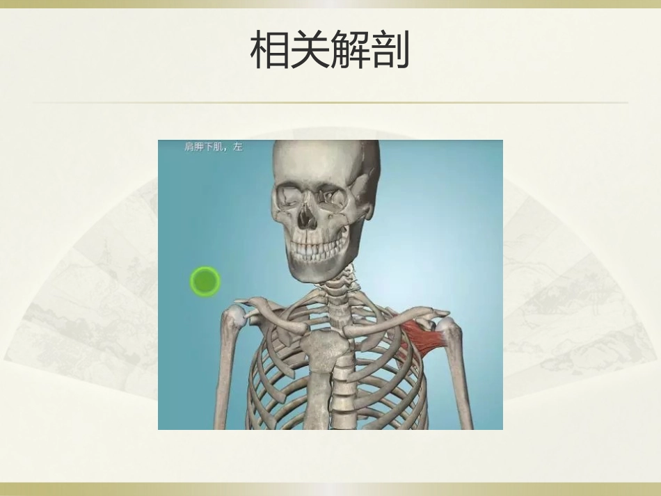 肩周炎的中医治疗(1)_第9页