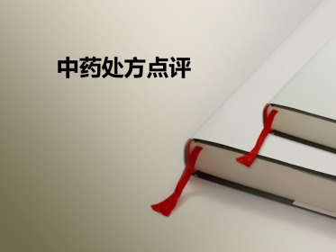 中药处方点评
