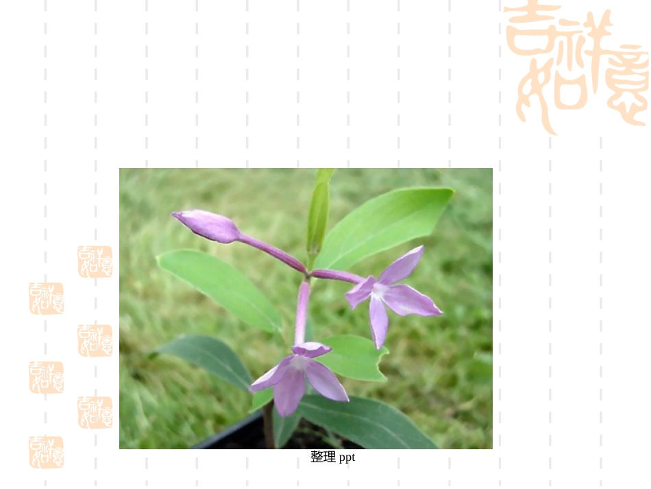 中药的配伍原则及禁忌_第6页