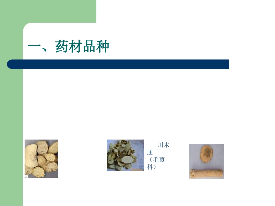 中药不良反应影响因素概述_第13页
