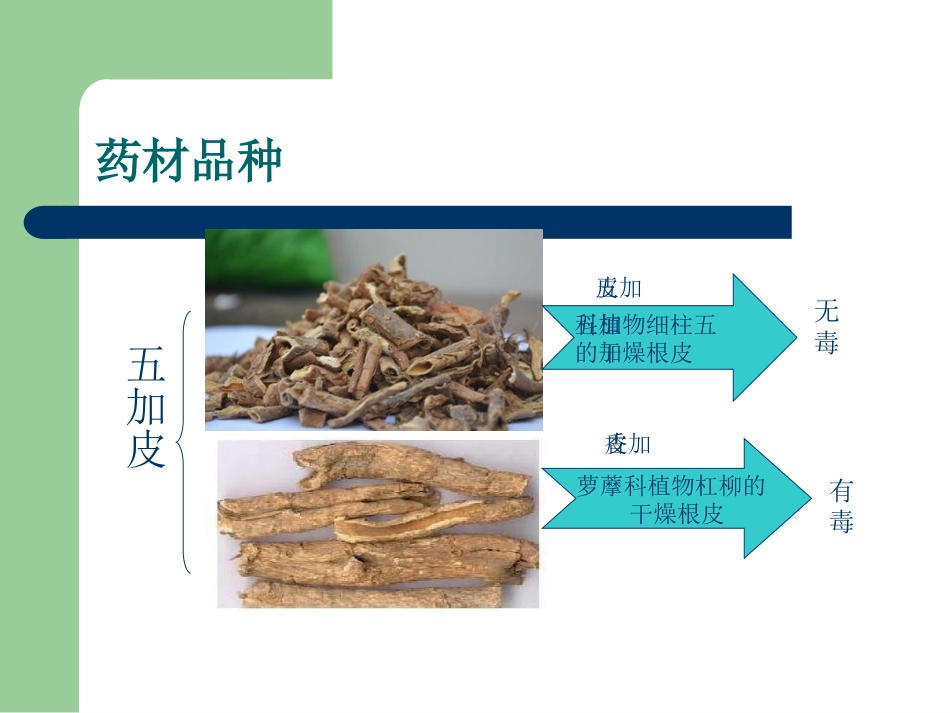 中药不良反应影响因素概述_第15页