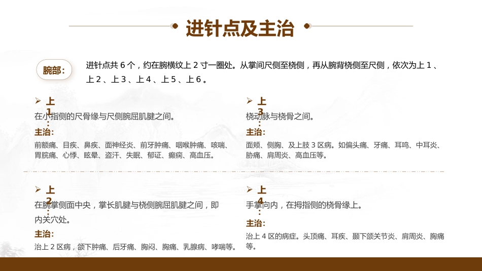 中医治疗：腕踝针中医技术2_第11页