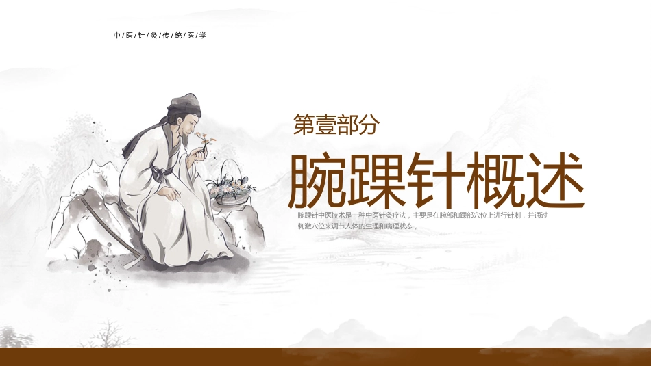 中医治疗：腕踝针中医技术2_第3页