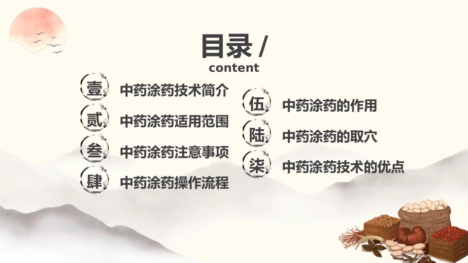 中医治疗：中药涂药技术2_第2页