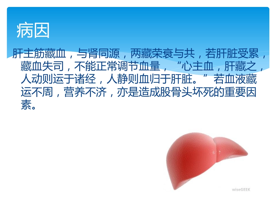 股骨头坏死中医辨证_第5页