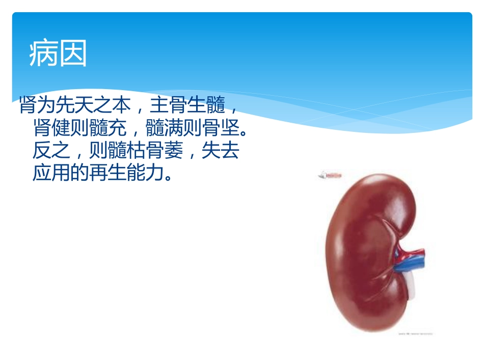 股骨头坏死中医辨证_第7页