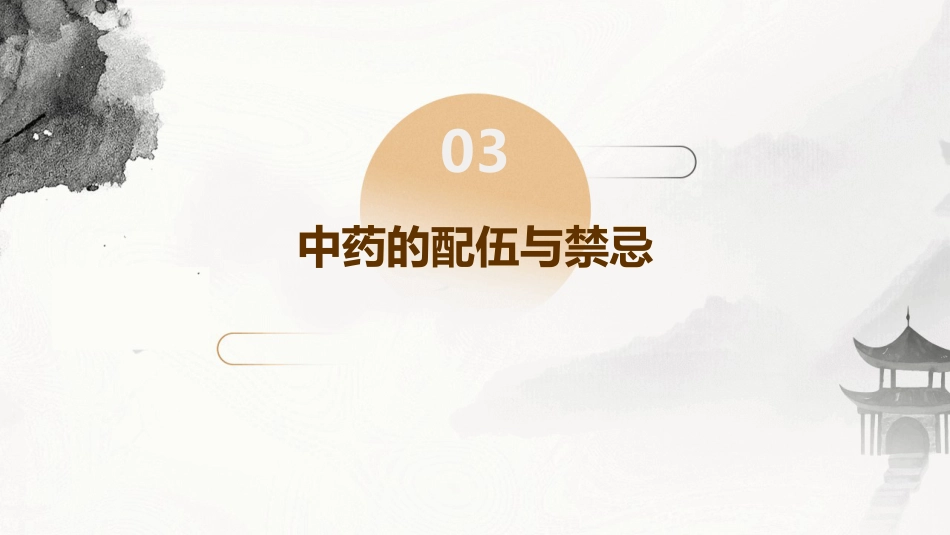 常见的中药知识PPT课件_第13页