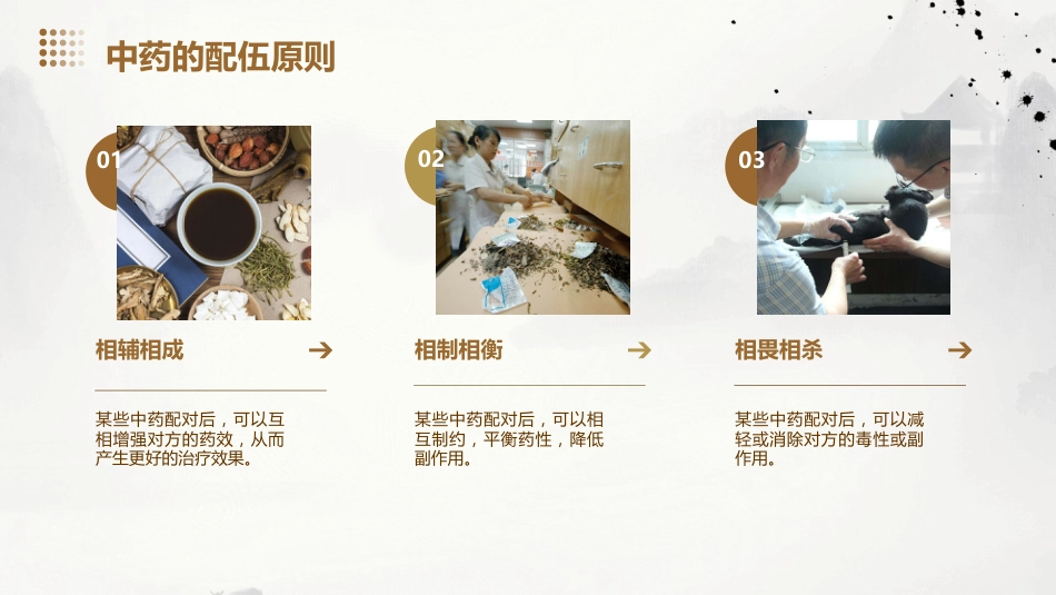常见的中药知识PPT课件_第14页
