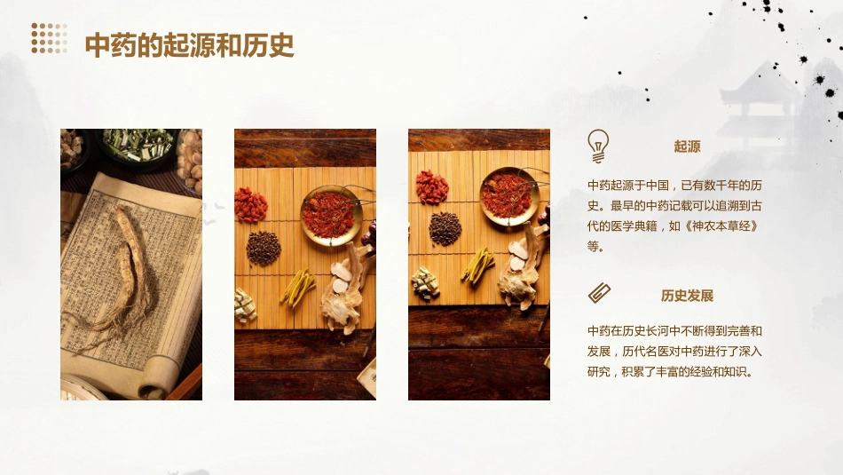 常见的中药知识PPT课件_第4页