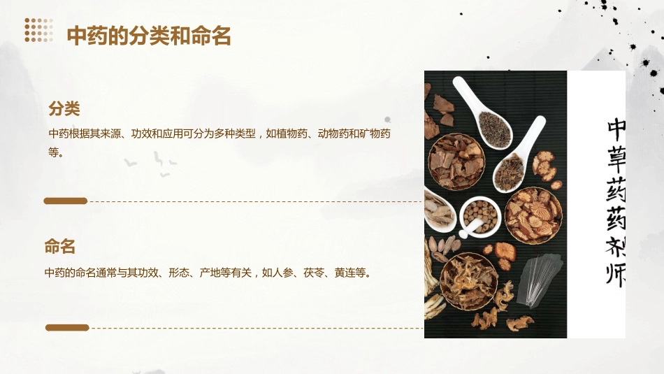 常见的中药知识PPT课件_第5页
