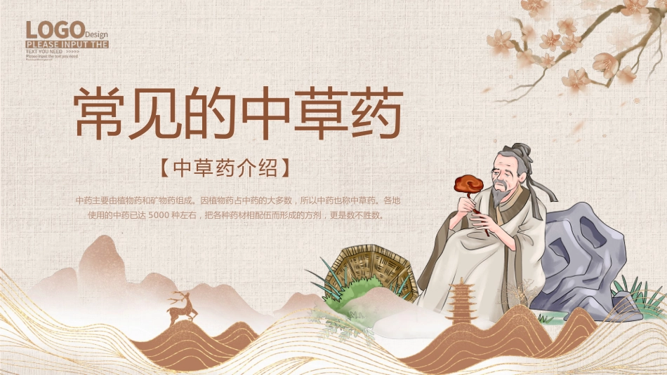 常见的中草药_第1页