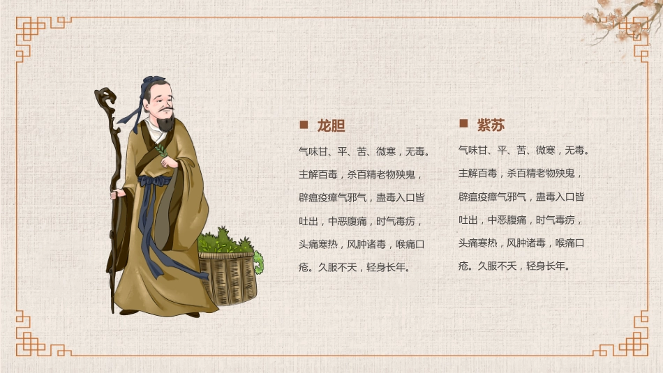 常见的中草药_第11页