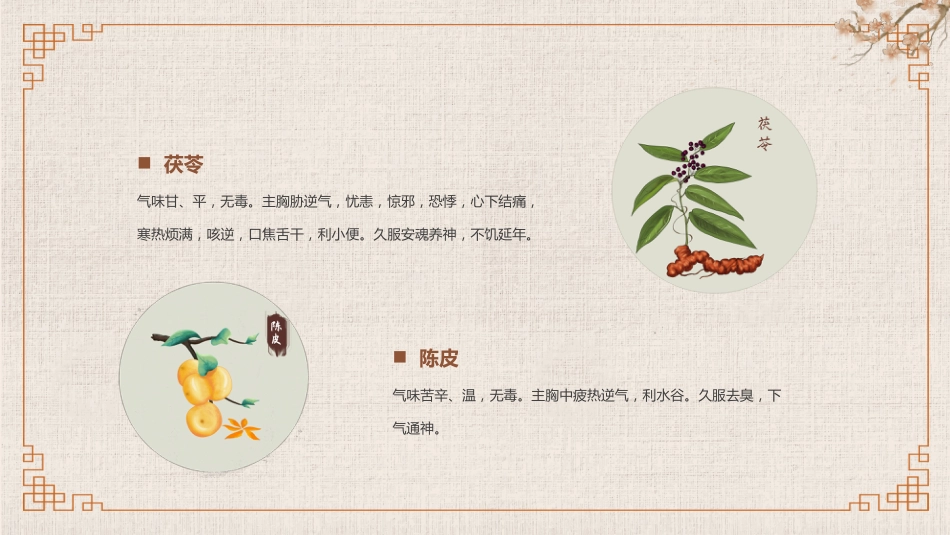 常见的中草药_第12页