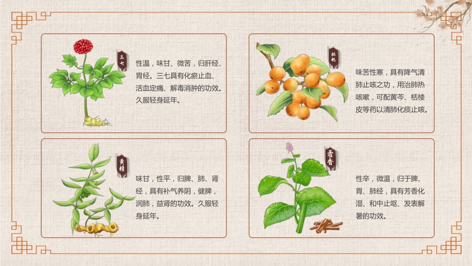 常见的中草药_第13页