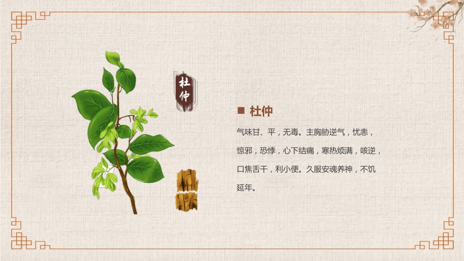 常见的中草药_第14页