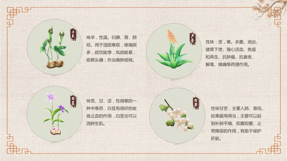常见的中草药_第15页