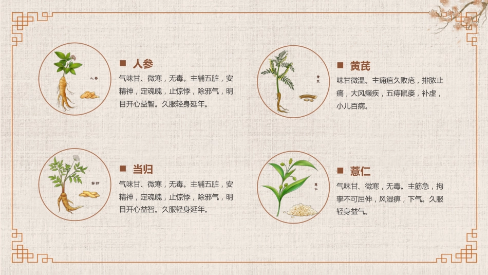 常见的中草药_第4页