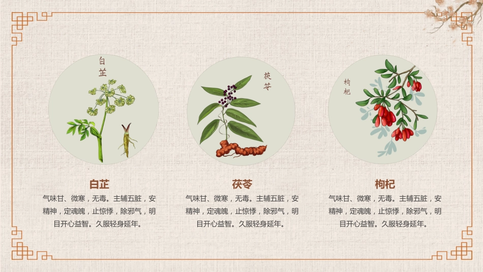 常见的中草药_第5页