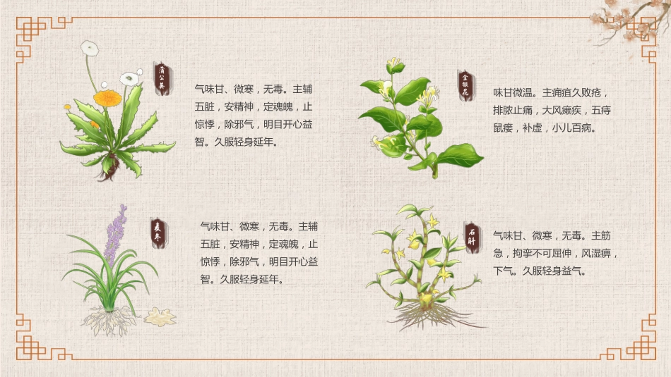 常见的中草药_第6页