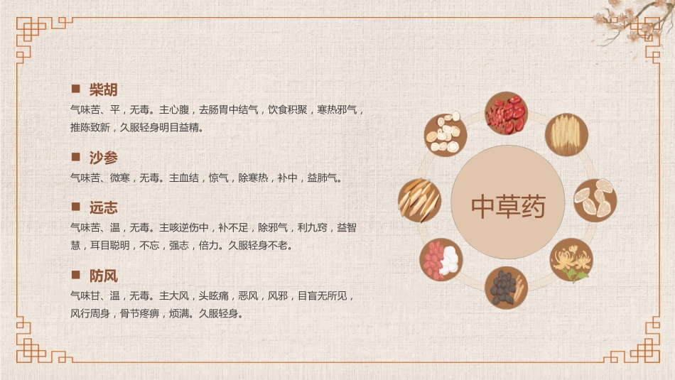 常见的中草药_第8页