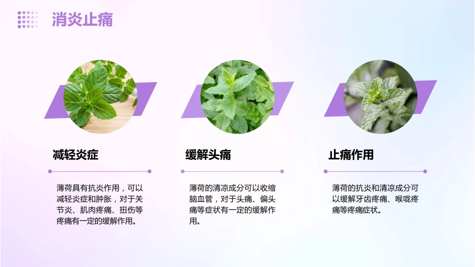 薄荷的功效与作用_第10页