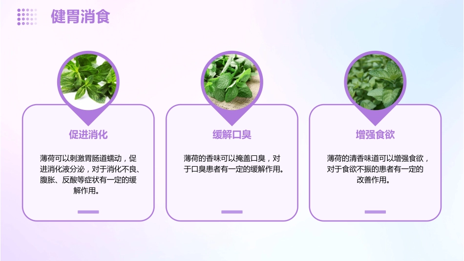 薄荷的功效与作用_第11页