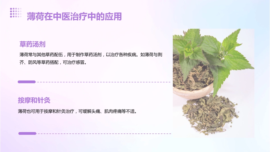 薄荷的功效与作用_第14页