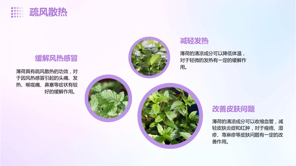 薄荷的功效与作用_第8页