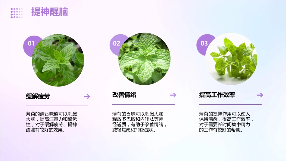 薄荷的功效与作用_第9页