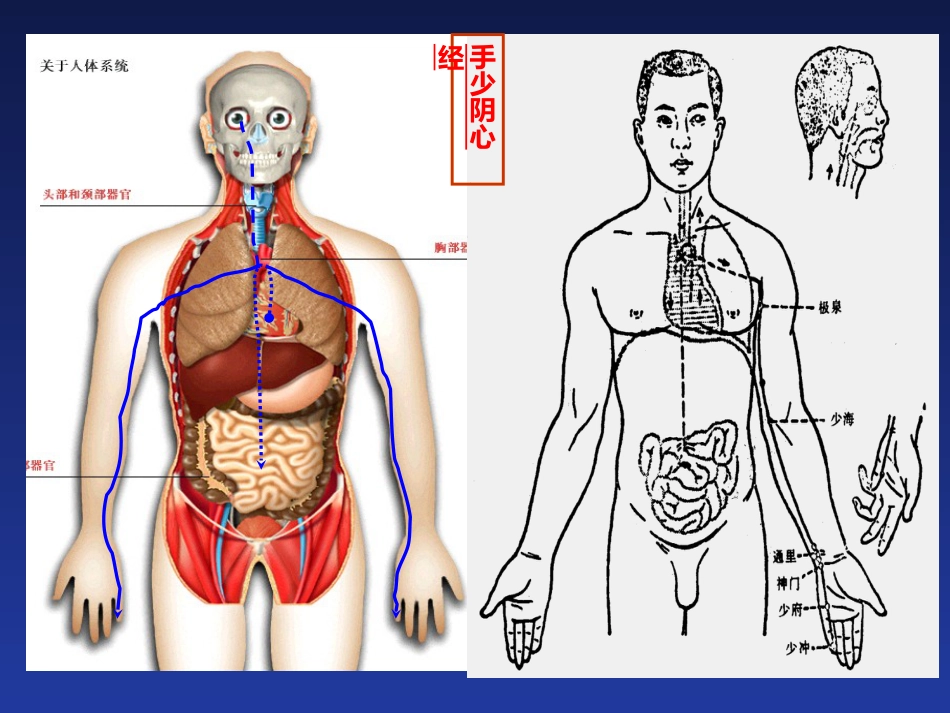 经络与腧穴_第10页