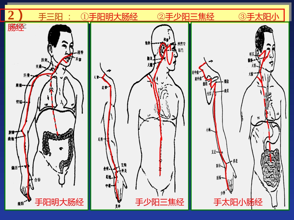 经络与腧穴_第12页