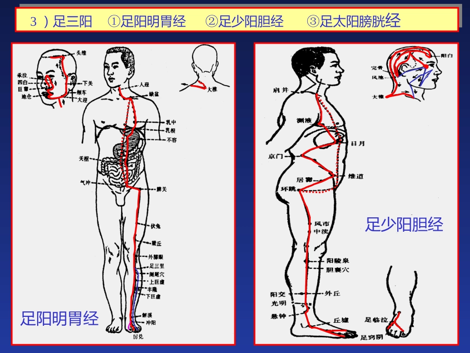 经络与腧穴_第13页