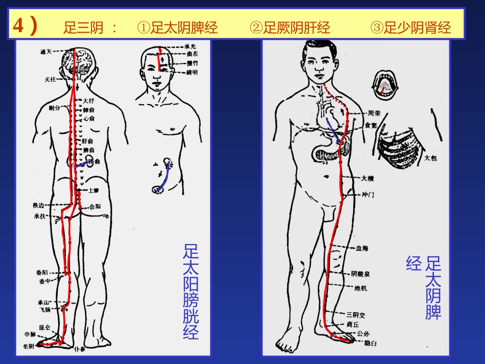 经络与腧穴_第14页