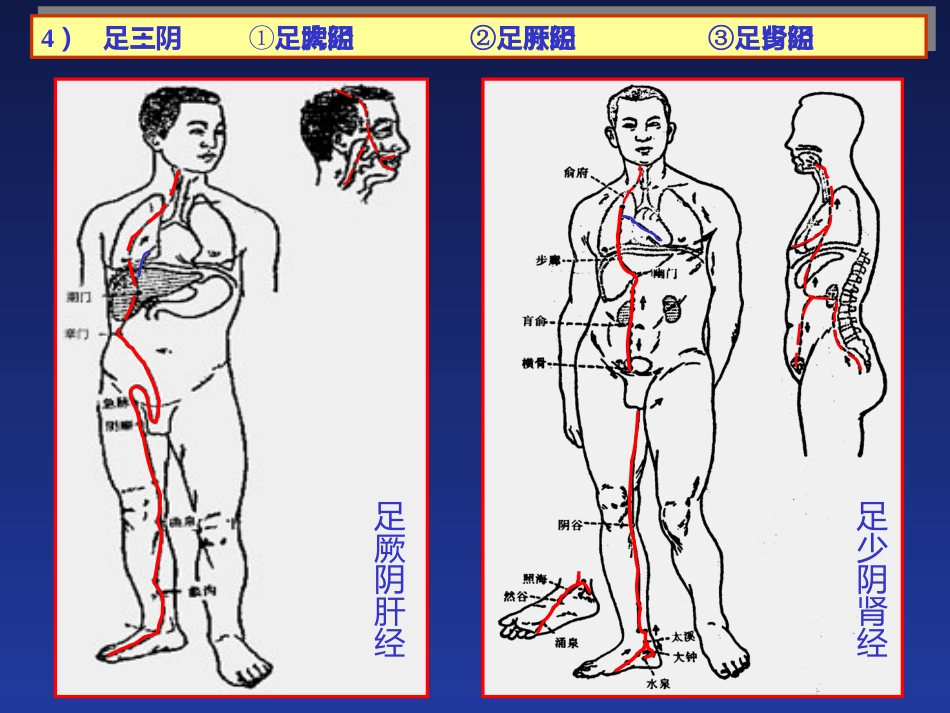 经络与腧穴_第15页