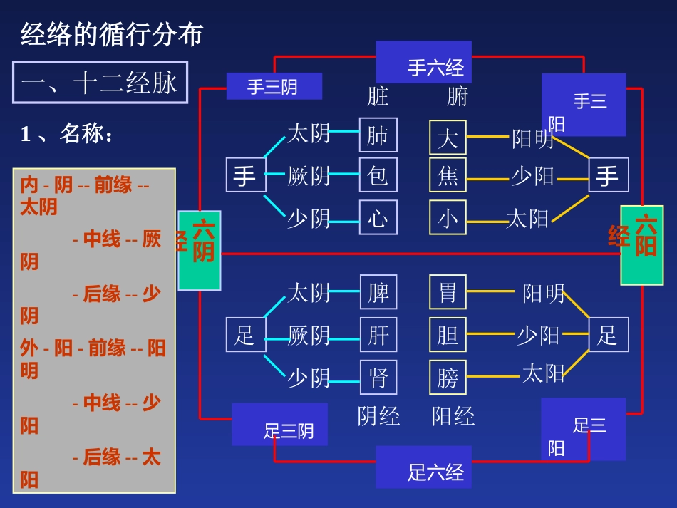 经络与腧穴_第6页