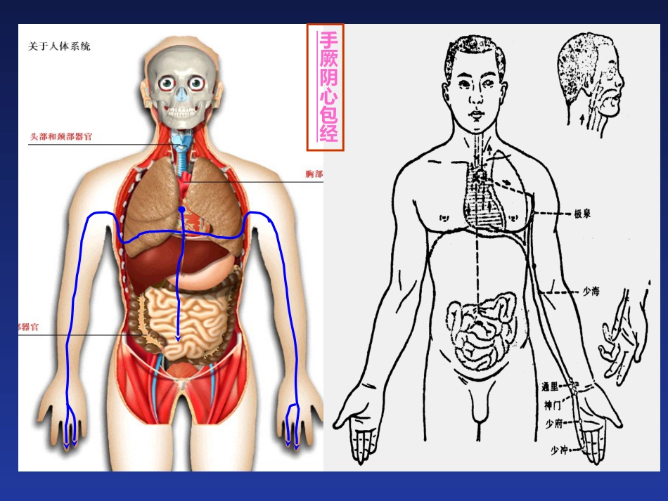 经络与腧穴_第9页
