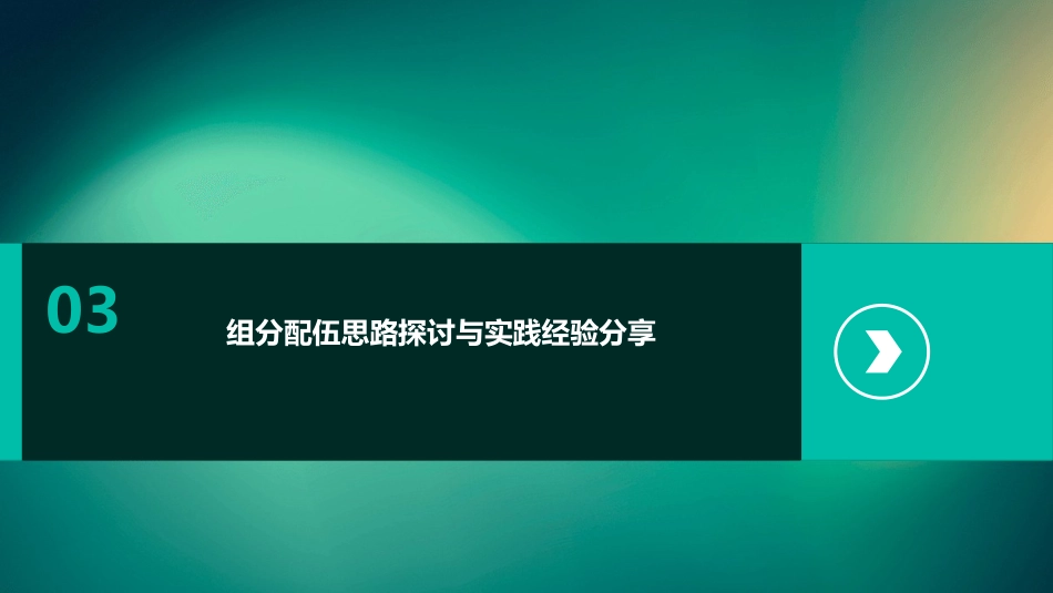 中药组分配伍的思路与方法_第13页
