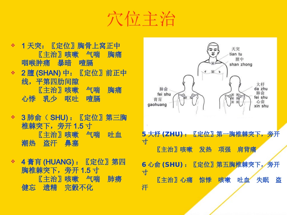 红外止咳贴穴位止咳PTT_第12页