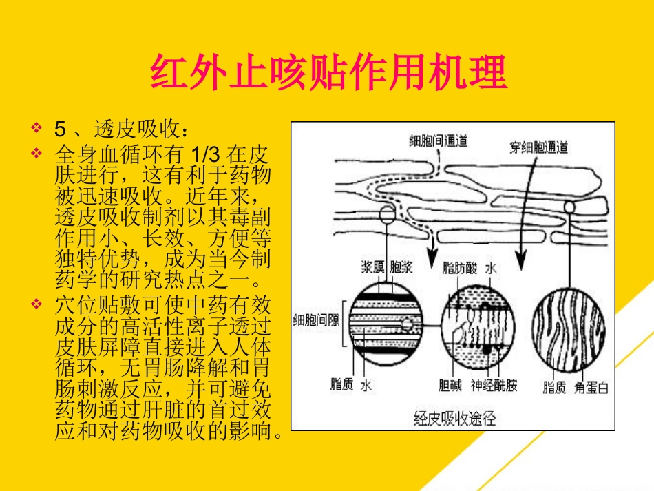 红外止咳贴穴位止咳PTT_第5页