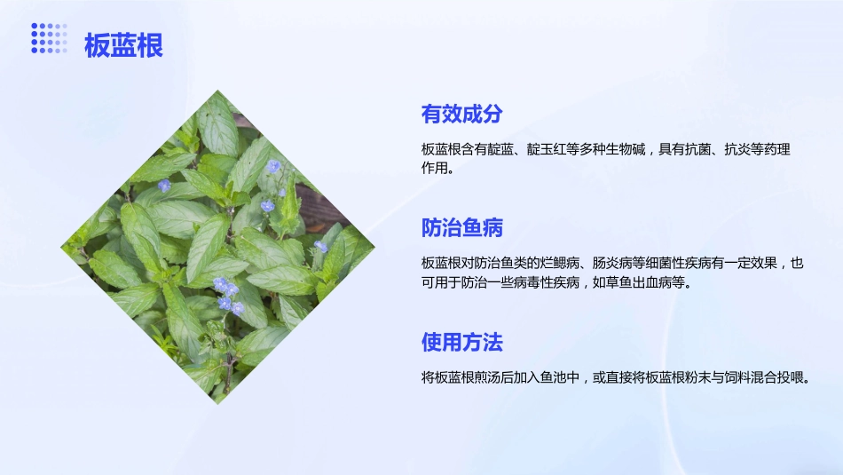 中草药防治鱼病效果好_第11页