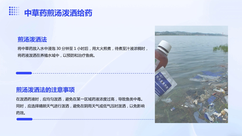 中草药防治鱼病效果好_第13页