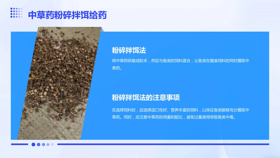 中草药防治鱼病效果好_第14页