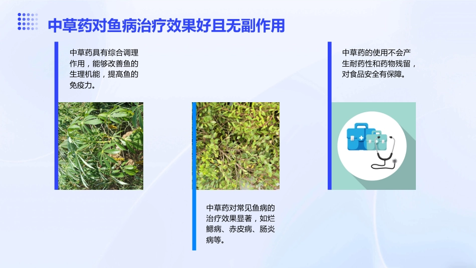 中草药防治鱼病效果好_第6页