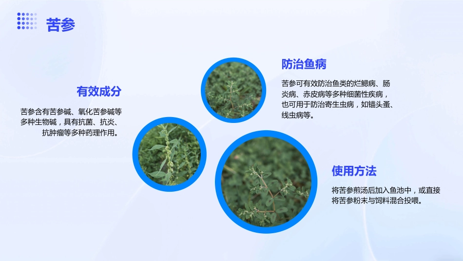 中草药防治鱼病效果好_第8页