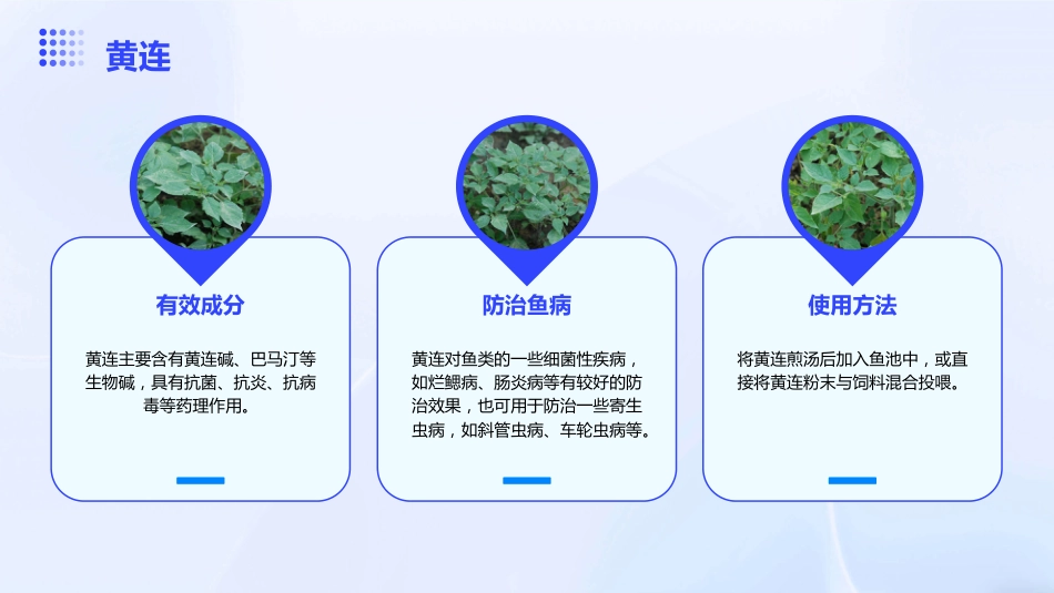 中草药防治鱼病效果好_第9页